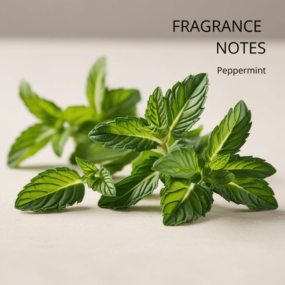 Cool Mint Bar Soap